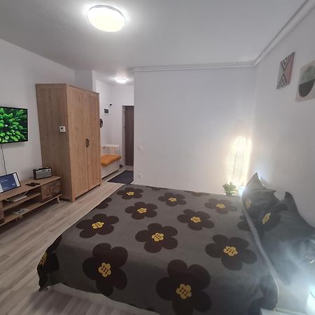Siriului Studio بوخارست المظهر الخارجي الصورة
